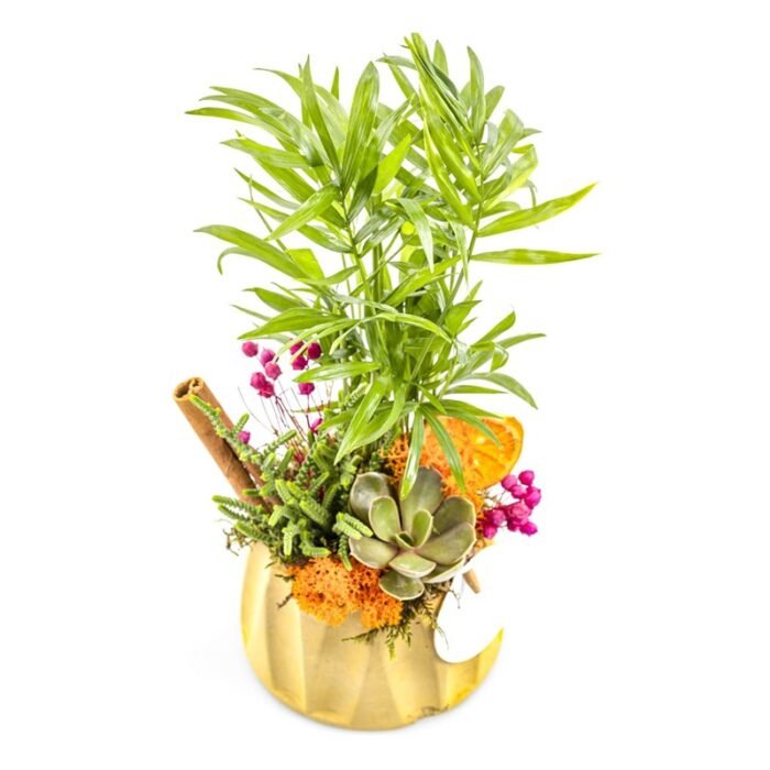 Small Botanical